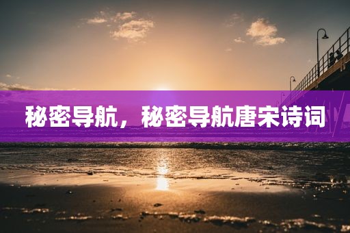 秘密导航，秘密导航唐宋诗词
