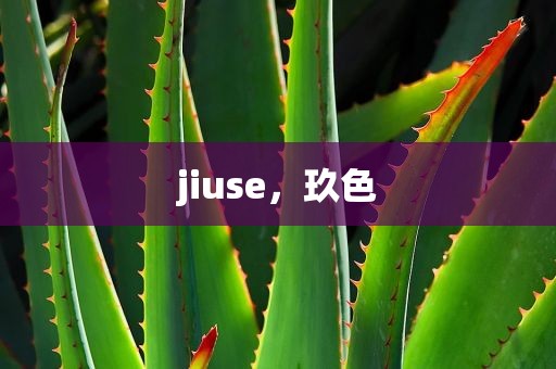 jiuse，玖色