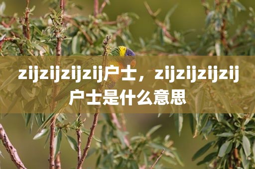 zijzijzijzij户士，zijzijzijzij户士是什么意思