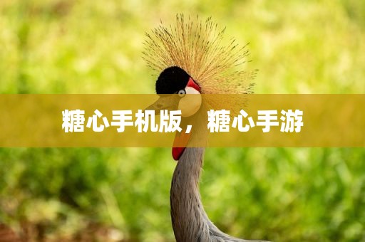 糖心手机版，糖心手游