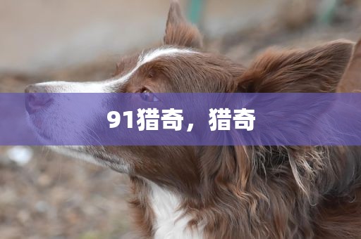 91猎奇，猎奇