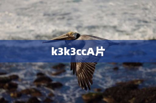 k3k3ccA片