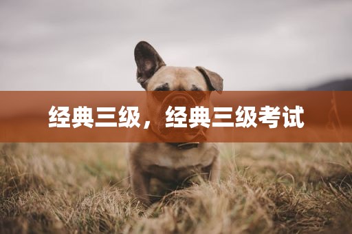 经典三级，经典三级考试