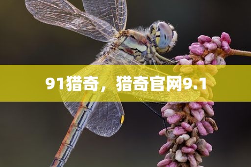 91猎奇，猎奇官网9.1