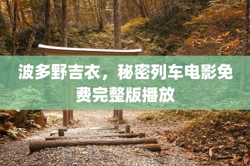 波多野吉衣，秘密列车电影免费完整版播放