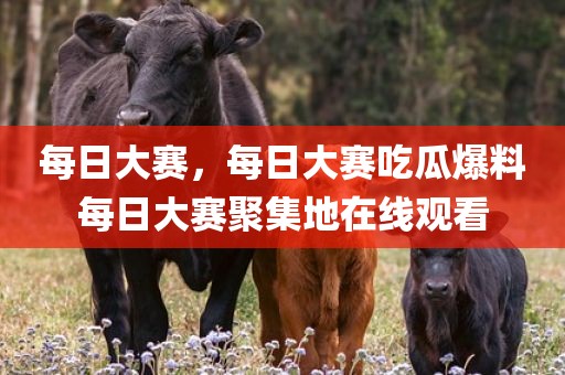 每日大赛，每日大赛吃瓜爆料每日大赛聚集地在线观看
