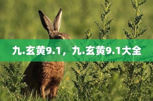 九.玄黄9.1，九.玄黄9.1大全