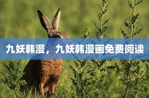 九妖韩漫，九妖韩漫画免费阅读