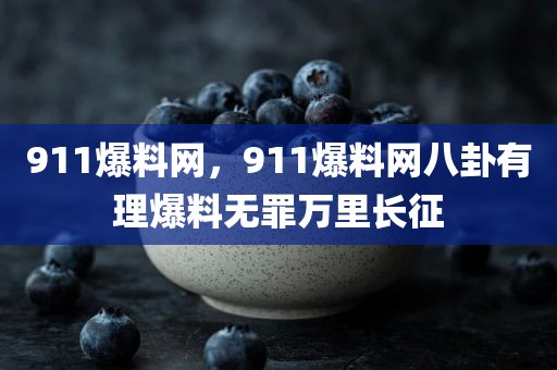 911爆料网，911爆料网八卦有理爆料无罪万里长征