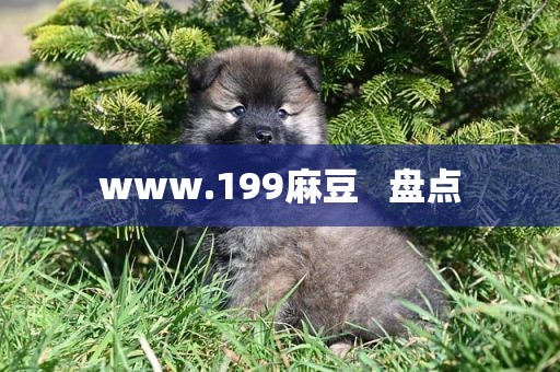 www.199麻豆   盘点