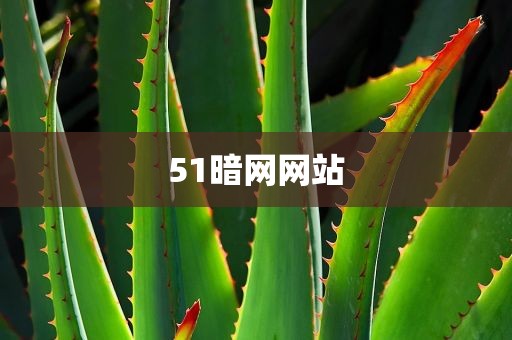 51暗网网站