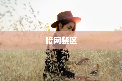 暗网禁区