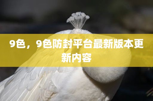 9色，9色防封平台最新版本更新内容