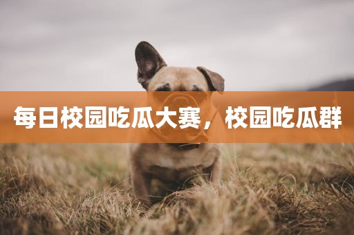 每日校园吃瓜大赛，校园吃瓜群