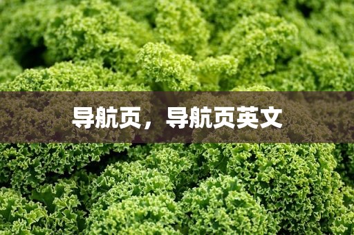 导航页，导航页英文