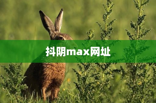 抖阴max网址