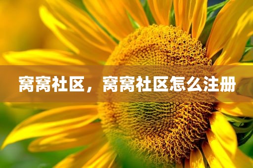 窝窝社区，窝窝社区怎么注册