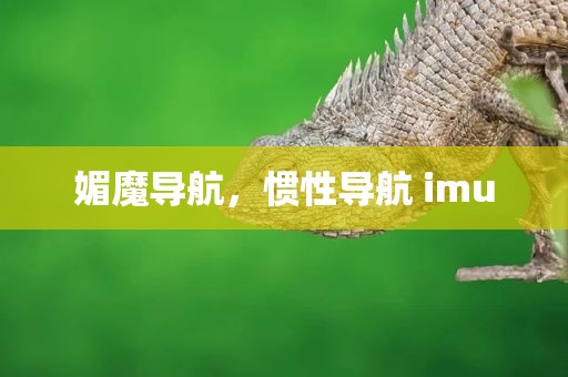 媚魔导航，惯性导航 imu