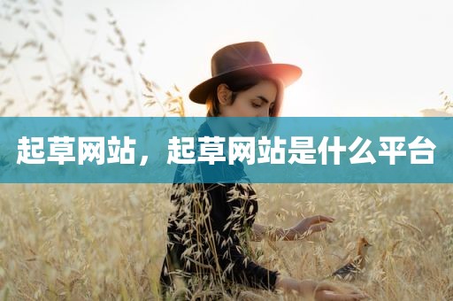 起草网站，起草网站是什么平台