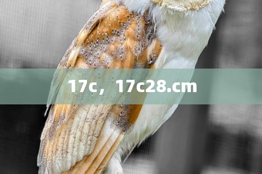 17c，17c28.cm