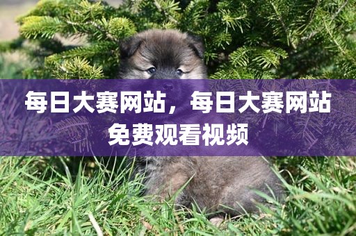 每日大赛网站，每日大赛网站免费观看视频