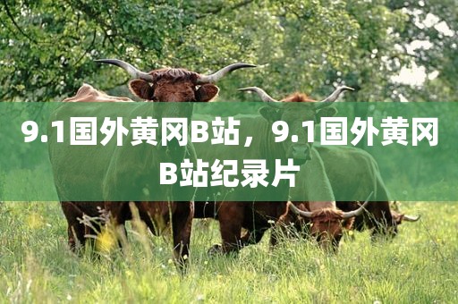 9.1国外黄冈B站，9.1国外黄冈B站纪录片