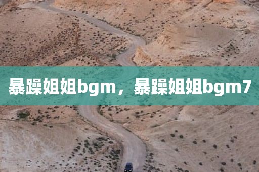 暴躁姐姐bgm，暴躁姐姐bgm7