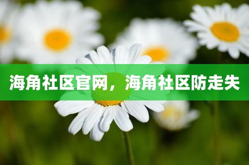 海角社区官网，海角社区防走失