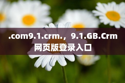 .com9.1.crm.，9.1.GB.Crm网页版登录入口