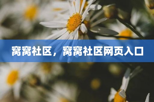 窝窝社区，窝窝社区网页入口
