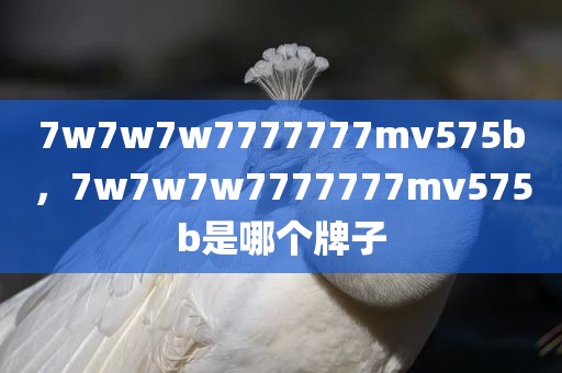 7w7w7w7777777mv575b，7w7w7w7777777mv575b是哪个牌子