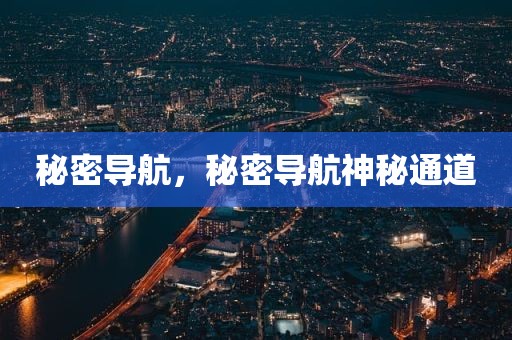 秘密导航，秘密导航神秘通道
