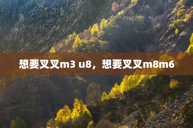 想要叉叉m3 u8，想要叉叉m8m6