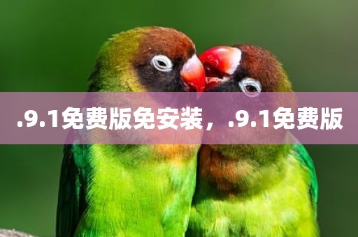 .9.1免费版免安装，.9.1免费版
