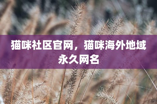 猫咪社区官网，猫咪海外地域永久网名