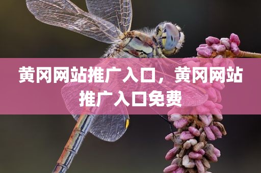 黄冈网站推广入口，黄冈网站推广入口免费