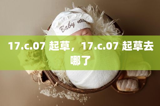 17.c.07 起草，17.c.07 起草去哪了