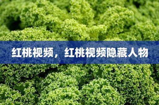 红桃视频，红桃视频隐藏人物