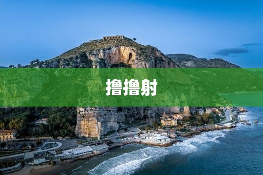 撸撸射