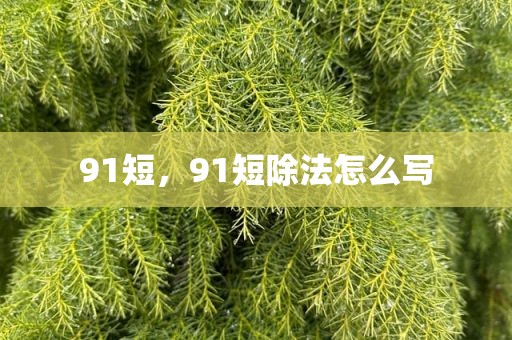 91短，91短除法怎么写