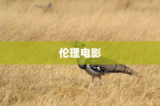 伦理电影