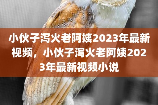 小伙子泻火老阿姨2023年最新视频，小伙子泻火老阿姨2023年最新视频小说