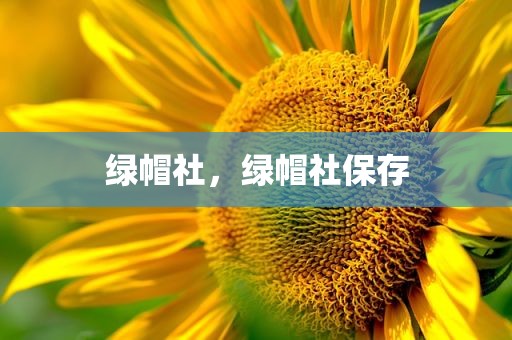 绿帽社，绿帽社保存