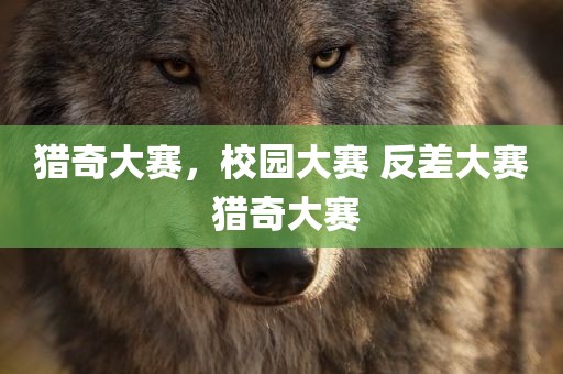 猎奇大赛，校园大赛 反差大赛 猎奇大赛