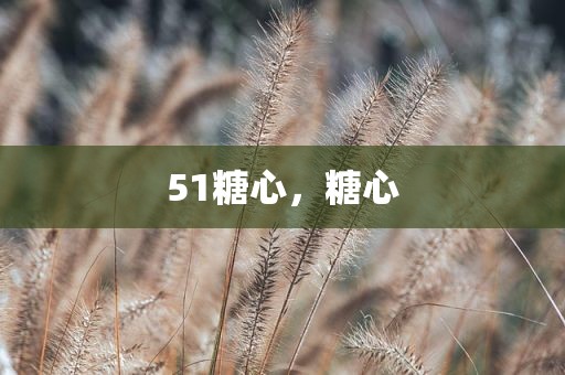 51糖心，糖心