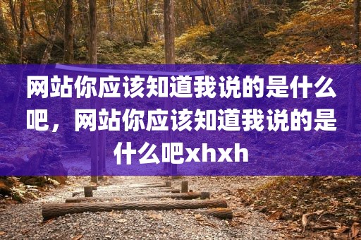 网站你应该知道我说的是什么吧，网站你应该知道我说的是什么吧xhxh