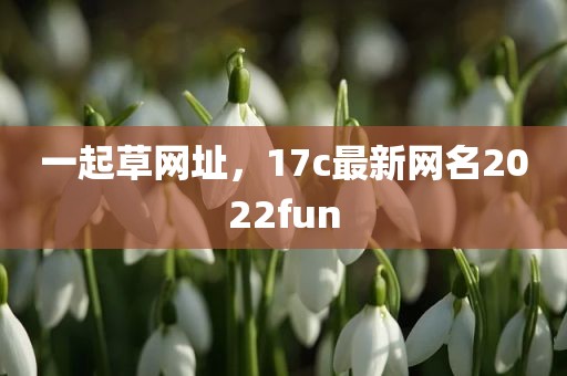 一起草网址，17c最新网名2022fun