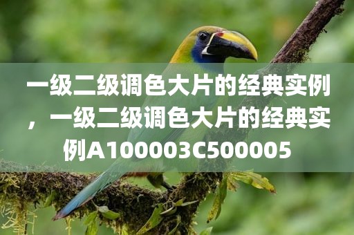 一级二级调色大片的经典实例，一级二级调色大片的经典实例A100003C500005