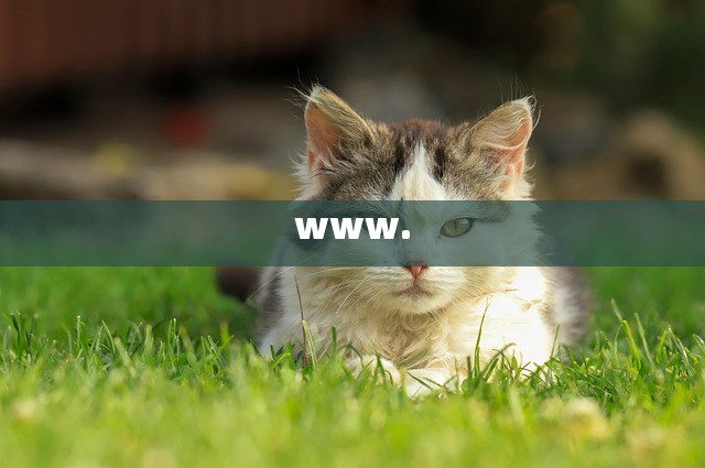 www.