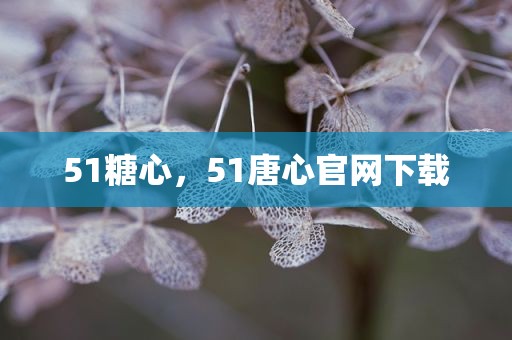 51糖心，51唐心官网下载